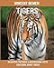 Produktbild Tigers: Beautiful Pictures & Interesting Facts Kids Book About Tigers