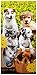Produktbild Badetuch, Strandtuch, Duschtuch, Handtuch "Dogs & Cats" - Hunde & Katzen - 140 x 70 cm - 100% Baumwolle - Aktionspreis - NEU