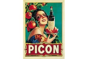 GÉNÉRIQUE PLAQUE METAL 40X30cm PUBLICITE RETRO PICON BIERE