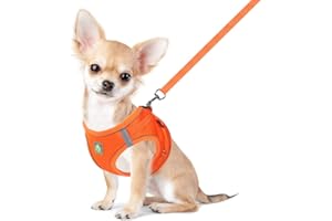 FEimaX Arnés para Perro y Conjunto de Correa, Acolchado con Malla Suave, Chaleco para Cachorros Reflectante y Ajustable para Perros y Gatos Pequeños