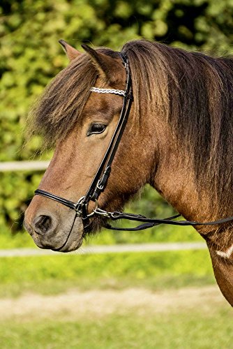 Preisvergleich Produktbild Busse Reithalfter HANNOVER-ICE II, Island, schwarz / Edelstahl