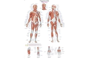 ERLER-ZIMMER GMBH Erler-Zimmer Trigger Dots Teaching Board 50 x 70 cm Wall Picture Classroom