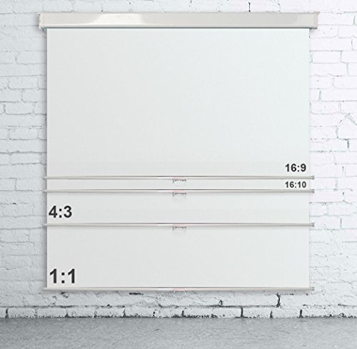 Wall Mounted Manual Projection Screens - Slow Safety Retract System (240 x 240cm)