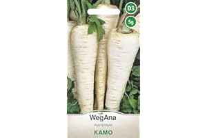 WegAna Semillas de Chirivía Kamo 5g, Variedad Mediana Tardía, Semillas de Hortalizas Robustas, Semillas de Hortalizas, Semillas de Cultivo