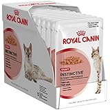 royal canin instinctive jelly
