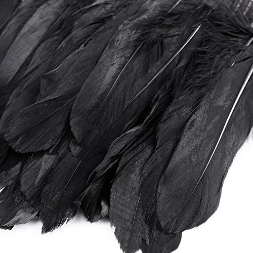2M Schwarz Gänsefeder Gürtel Federborte Band Federbesatz Federfranse Party Kostüm Deko - 3