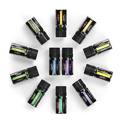 Anjou Huiles Essentielles Naturelles Set de 12pcs Anjou (12 x 5 ml d’Huiles ; Comprends Lavande Pure 100%, Orange Douce, Arbre à Thé, Eucalyptus, Citronnelle, Menthe Poivrée, Bergamote, Encens, Citron, Romarin, Cannelle et Ylang-Ylang)
