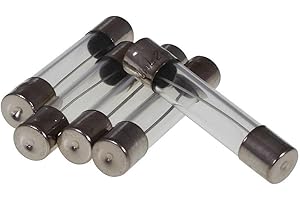 2EXTREME Glassicherung an der Batterie 30x6mm 10A (5 Stück) kompatibel für BAOTIAN BT49QT-7A, EXPLORER City Star YY50QT, FLEX-TECH Firenze YY50QT-21, REX RS450, YIYING YY50QT-10A 50ccm