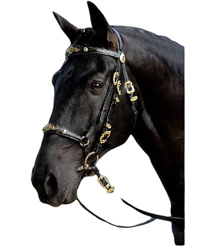 BANDEAU EN CRISTAL pour bride de cheval en cuir avec tuyauterie en or rose. EUR 94,90 - FR