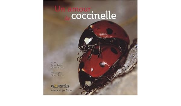 Amazonfr Un Amour De Coccinelle Julien Perrot Gilbert