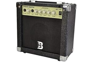 BRYCE Acoustic Guitar Amplifier 15 Watt Amp 5" Speaker Compact Portable Design Black