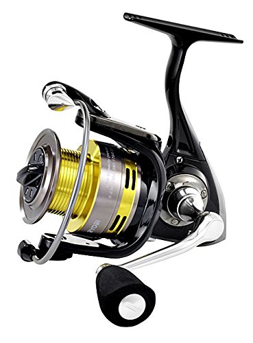 Preisvergleich Produktbild Ryobi Vernum 2000 5+1