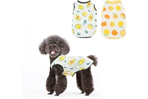 JODSEN 2 Stück Hundeshirts, Atmungsaktives Welpen Hunde Shirts mit Obstmustern, Sommer Hundekleidung, Weiche Haustier Westen Kleidung, Haustierbekleidung für Kleine Mittlere Jungen Mädchen Hund Katze (L)