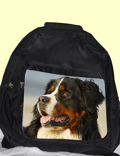 Preisvergleich Produktbild Rucksack Berner Sennenhund