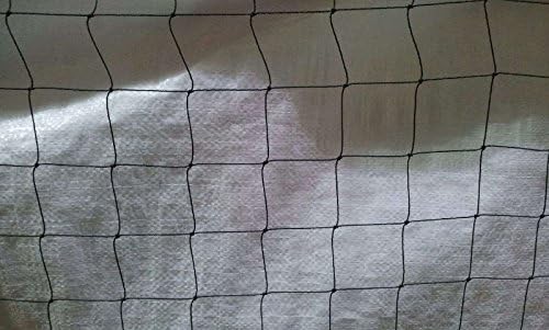 PIGEON NETTING 6m X 3m 2inch square mesh 50mm BLACK - NOT PLASTIC !