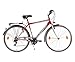 Produktbild F.Lli Schiano Fahrrad Trekking Ares Shimano 7-Gang, Rot/Silber,  28