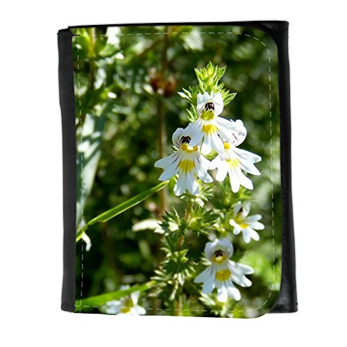 Preisvergleich Produktbild Portemonnaie Geldbörse Brieftasche / / M00292129 Eyebright Euphrasia officinalis Blume / / Small Size Wallet