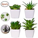 ELEGANTE DEKO: Unsere mini Kunstpflanzen sind perfect Dekoration für Büro Schlafzimmer Wohnzimmer Küche Garten Fensterbank, Balkon u.s.w. Mit dieser lebensechten eleganten Kunstpflanze können Sie Ihre eigene Dekorationsstilen schaffen.