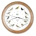 Produktbild KOOKOO Singvögel radio controlled holz Die Singende Vogeluhr Singvögeluhr Wanduhr mit 12 heimischen Vögel echte Vogelstimmen Uhr mit Lichtsensor