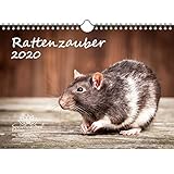 Rattenzauber DIN A4 Kalender 2020 Ratten - Seelenzauber by 