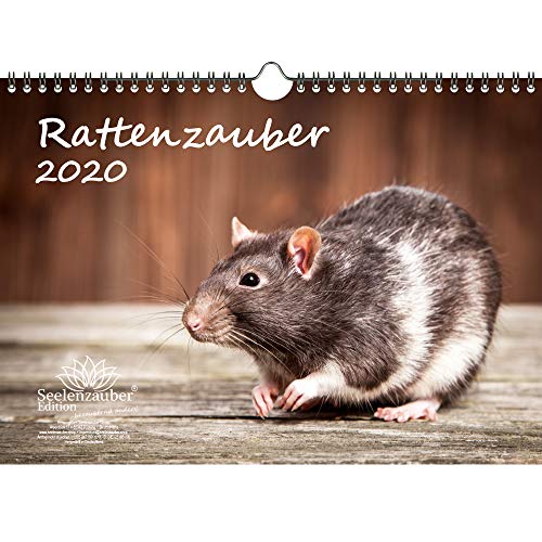 Rattenzauber DIN A4 Kalender 2020 Ratten - Seelenzauber