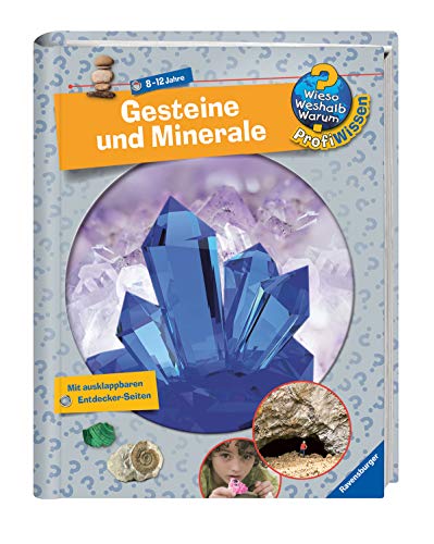 Gesteine und Minerale (Wieso? Weshalb? Warum? ProfiWissen, Band 16)