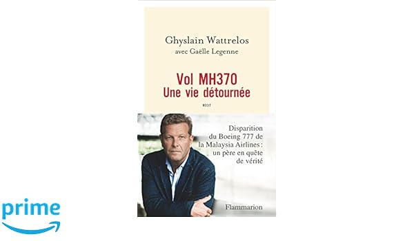 vol mh370 une vie détournée