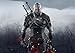Produktbild The Witcher 3: Wild Hunt Poster