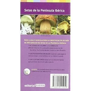 Setas de la Península Ibérica: Guía clara y sencilla para su identificación.
