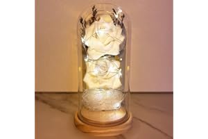 UNIQICON La Bella y la Bestia Rosa, Rosa Eterna, Elegante Cúpula de Cristal Rosa con Luces LED, Decoración Hogar, Kit de Rosas, Regalos Romántico para Mujer San Valentin Dia de la Madre, Aniversario Cumpleaño