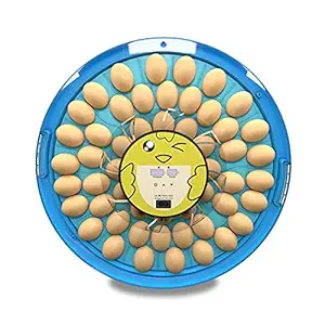 TM&W-New arrival S52 Smile series 52 eggs incubator