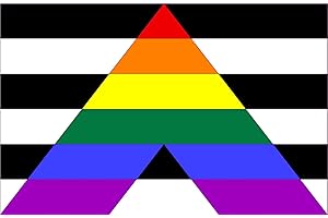 MICHAEL & RENE PFLÜGER BARMSTEDT ⭐️ Auto Aufkleber Straigt Ally Allies support Toleranz LGBT ⭐️ 5,4x8,4 cm ⭐️ flag Sticker Fahne Flagge Regenbogen Rainbow gay Verbündete Unterstützer gegen Hass Diskrimierung Homophobie