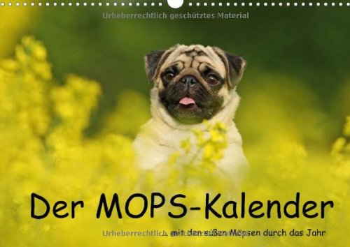 Der MOPS-Kalender (Wandkalender 2014 DIN A3 quer): ... mit den süßen Möpsen durch das Jahr (Monatskalender, 14 Seiten)