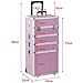 Professional Extra Large Space Aluminium Cosmetics & Make Up Case/Box Nail Art Case Hairdressing Case Beauty Case Toiletry Storage Nail Hairdressing Vanity Box Valentines Day Gift (4 in 1 trolley, Pink)