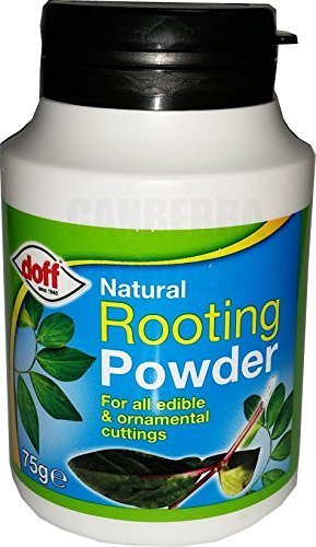Doff Natur Bewurzelung Pulver Fördert Stark Gesund Wurzeln 75g