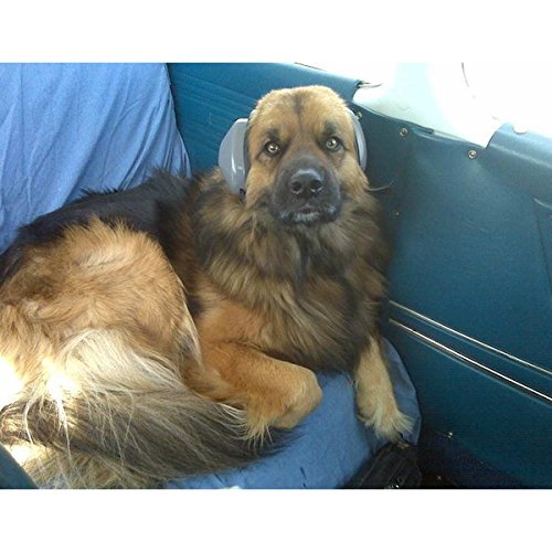 Mutt-Muffs-Dog-Ear-Defenders