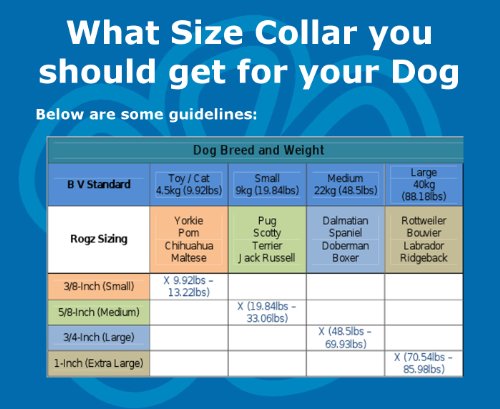 Rogz-Jellybean-Collar-Bone
