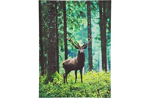Heart of House Finlay Stag in Forest Canvas.