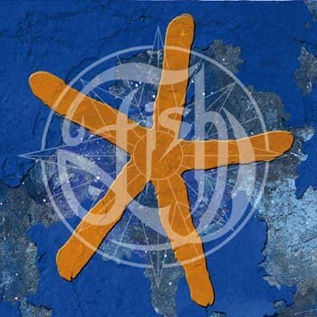 Preisvergleich Produktbild 13th Star Deluxe Edition