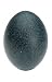 Produktbild NaDeco Emuei Natur | Emueier | Emu Ei | Emu Eier | Emu Egg | Dekoeier | Sammlerei | Osterdekoration