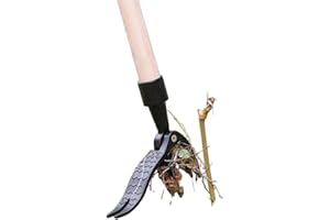 leryveo Malas Hierbas pie,Eliminador Malas Hierbas Manual - Herramienta deshierbe Manual para jardín, Herramientas manuales jardinería para una eliminación Conveniente