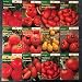Produktbild AGROBITS Brandy Pink: Jetzt 50% New 2018/19 Pee Tomatensamen 12 Sorten Incl. 3 Organic