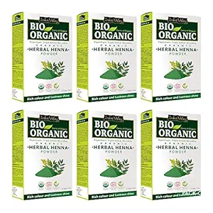 INDUS VALLEY 100% Certified Organic Henna Powder - Enriched with Amla, Reetha, Shikakai - (100X6 = 600g)