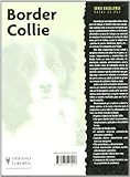 Image de Border Collie