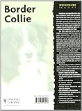 Image de Border Collie (Excellence)