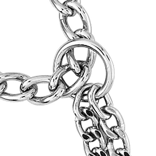 CHAPUIS-SELLERIE-SLA091-Half-choke-chain-collar-with-2-rows-for-dog-Chrome-plated-steel-Diameter-25-mm-Length-65-cm-Size-XL