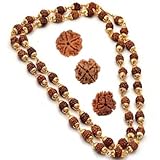 RUDRADIVINE Rudraksha Golden Cap Mala with 7 mm 5 Face Rudraksha and 3, 4, 5 Mukhi Rudraksha Nepal Beads