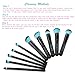 RUIMIO 10-Piece Makeup Brush Set Beauty Synthetic Brushes Kit For Makeup Application, Blending, Highlighting, Contouring All Types of Cosmetics