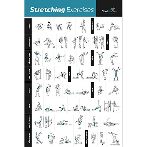 NewMe Fitness étirement Poster d'exercice laminé - Indique au Stretch Muscles spécifiques pour Votre séance d'entraînement - Home Gym Fitness Guide (500 mm X 700 mm)
