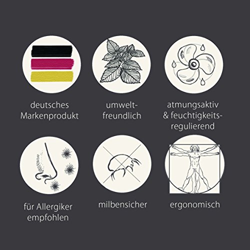 2-er Pack Sei Design® Classic Dream Kopfkissen Mikrofaser 40 x60 cm, weiß, gestept - 3
